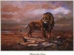 Majestic Lion by S. Duran