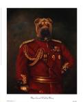 Major-General Woof by Massy