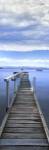 Mallacoota Vert by Wayne Bradbury Photography