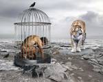 Man In Cage by Ata Alishahi
