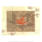 Maple by Tandi Venter