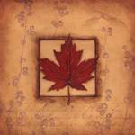 Maple Leaf by Stephanie Marrott