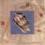 Marbled Cone Post Card by Anita Phillips