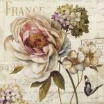 Marche de Fleurs III by Lisa Audit