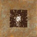 Mark Baker - Dahlia on Copper I Size 20x20 by Mark Baker