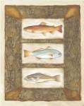 Mary beth Zeitz - Sport Fish II Size 13x15 by Mary Beth Zeitz