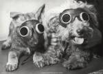 Masked Avengers by Getty Images