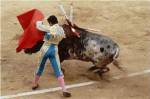 Matador fighting a bull, Plaza de Toros, Ronda, Spain