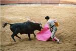Matador fighting a bull, Plaza de Toros, Ronda, Spain