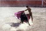Matador fighting with a bull, Spain
