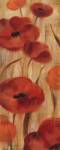 May Floral Panel I by Silvia Vassileva