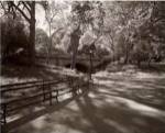 MAY IN MANHATTAN I by Sondra Wampler