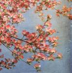 May Third by Donna Geissler