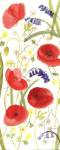 Meadow Poppies II by Rebecca Bradley
