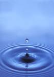 Meditation Drop