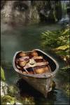 Memories of the Old Lake by Carlos Casamayor