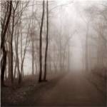 Memory Lane by Erin Clark