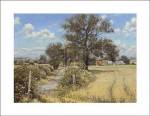 Mervyn Goode - Summer Farm Size 24x17 by Goode