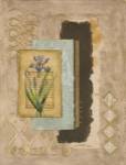 Metallic Iris II by Merri Pattinian