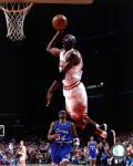 Michael Jordan 1994-95 Action