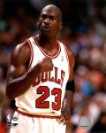 Michael Jordan 1994-95 Action