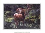 Michelle Mara - Deer in Fall Forest Size 8x10 by Michelle Mara
