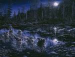 Midnight Pursuit by Jeff Tift