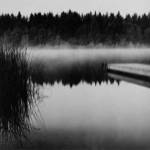 Misty Dock, Salt Spring Island by James Reed