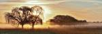 Misty Morning 2 by Wayne Bradbury Photography