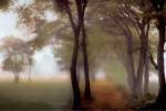 Misty Path by Steven Mitchell