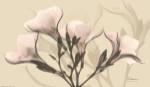 Misty Reflection Oleander by Albert Koetsier
