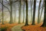 Misty Twisty by Lars Van De Goor