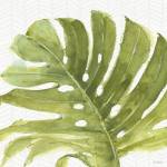 Mixed Greens LXXI by Lisa Audit