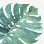 Mixed Greens LXXIII by Lisa Audit