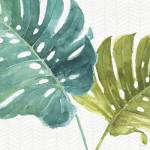 Mixed Greens LXXV by Lisa Audit