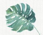 Mixed Greens LXXXII by Lisa Audit