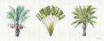 Mixed Greens XVI by Lisa Audit