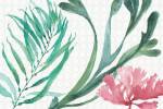 Mixed Greens XVIII by Lisa Audit