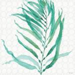 Mixed Greens XX by Lisa Audit