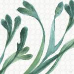 Mixed Greens XXIV by Lisa Audit