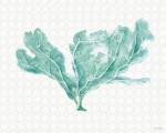 Mixed Greens XXIX by Lisa Audit