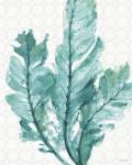 Mixed Greens XXVI by Lisa Audit