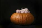 Mock Pumpkin Baby by Tanya Hovey