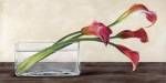 Modern Composition, Callas by Shin Mills