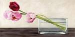 Modern Composition, Tulips by Shin Mills