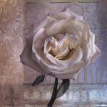 Modern Rose I by Christopher Corr