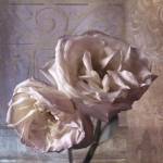 Modern Rose I by Christopher Corr