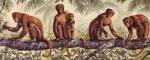 Monkey Time II by Ron Jenkins