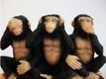 Monkeys - See No Evil, Hear No Evil, Speak No Evil