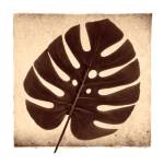 Monstera I by Michael Mandolfo